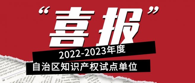 喜報(bào)！寧夏盾源聚芯獲批“2022-2023年度自治區(qū)知識(shí)產(chǎn)權(quán)試點(diǎn)單位”